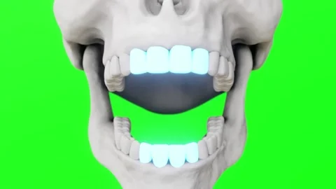 Skull Highlights Teeth Stock Footage 168058081