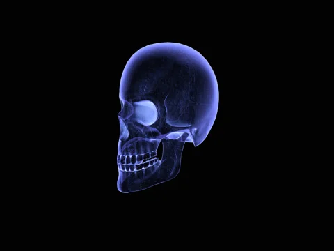 Skull Hologram Animation Stock Footage 73569780