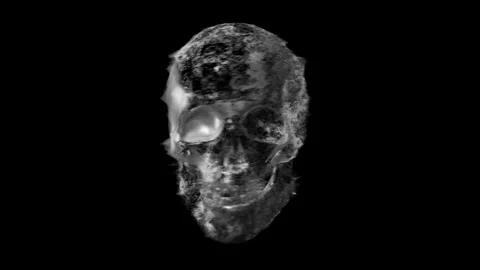 Skull Hologram Grey Stock Footage 248742402