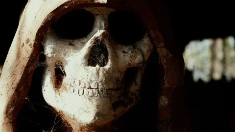 Skull with hood made of plaster Stock Footage 81686103