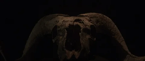 Skull with Horns Stock Footage 127180986