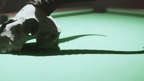 Skull with horns placed on a green pool table at a bar Stock-Footage 342048382