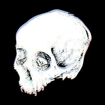 Skull Horror Graphic Illustration Vector Art T-shirt Design Stock-Illustration