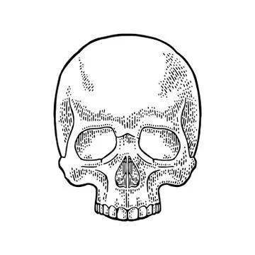 Skull human. Black vintage vector illustration. Stock Illustration