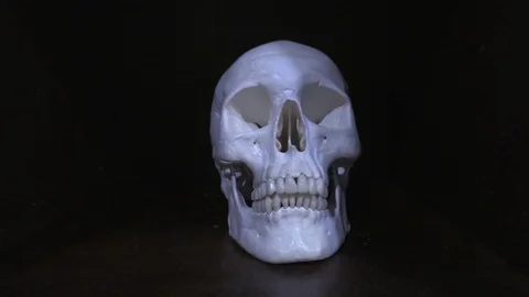 Skull human Stock Footage 107062121