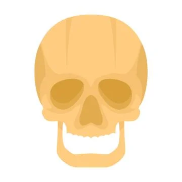 Skull icon in flat style Stock Illustration