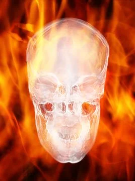 Skull Stock Illustration