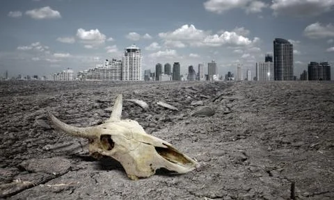 Skull Stock Illustration