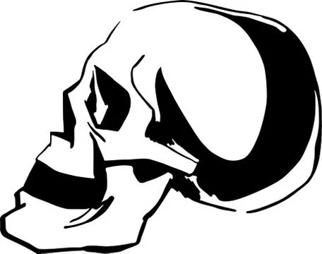 Skull Stock Illustration