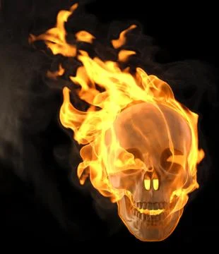 Skull Stock-Illustration