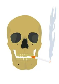 Skull. Stock Illustration