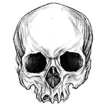 Skull Stock Illustration