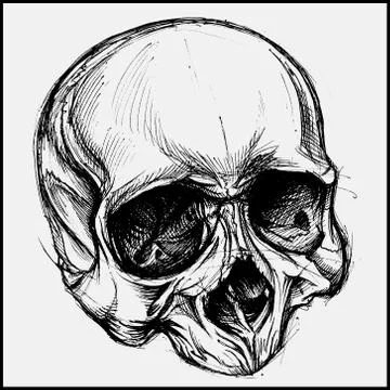 Skull Stock-Illustration