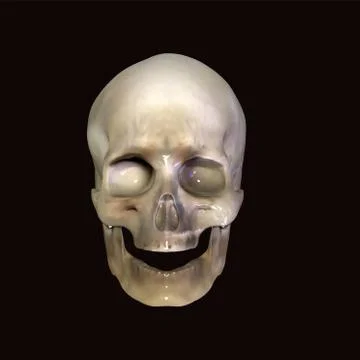 Skull Stock Illustration