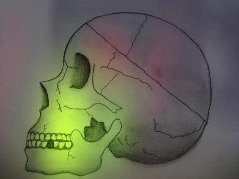 Skull Stock Illustration