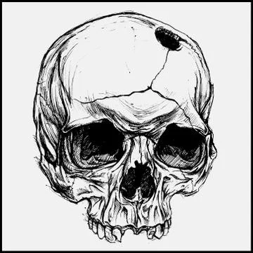 Skull Stock-Illustration