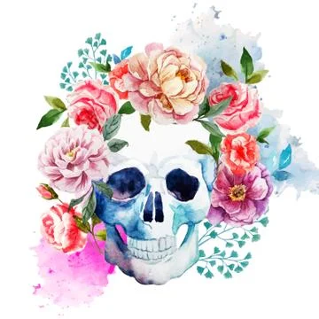 Skull Stock Illustration