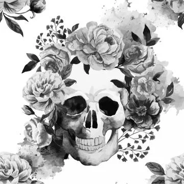 Skull Stock Illustration