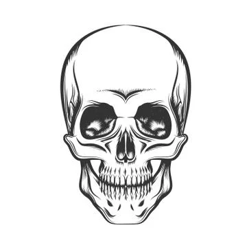 The Skull Stock Illustration