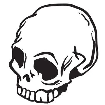 Skull Stock Illustration