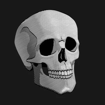 Skull Illustrazione stock