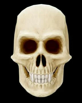 Skull Иллюстрация