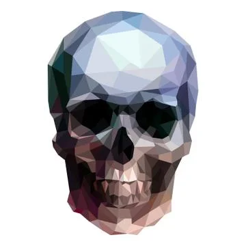 Skull Stock Illustration