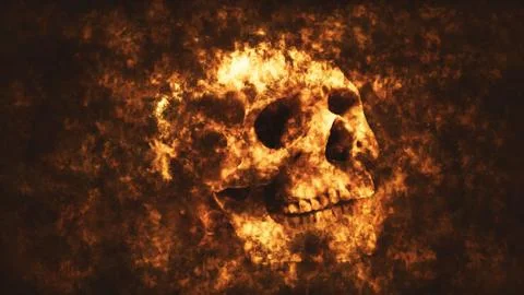 Skull Stock Illustration