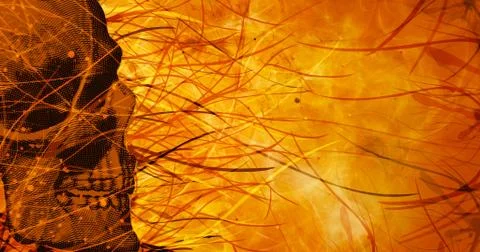 Skull Stock Illustration