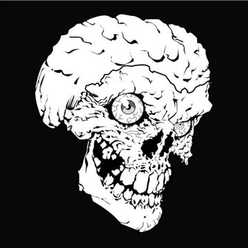 Skull Stock Illustration
