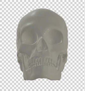 Skull Stock Illustration