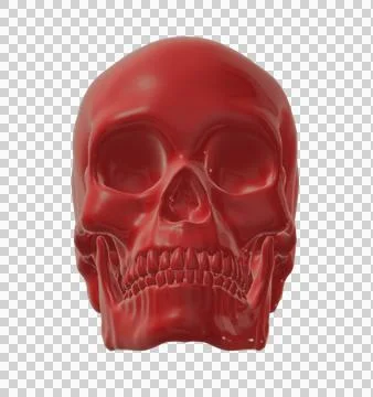 Skull Stock Illustration