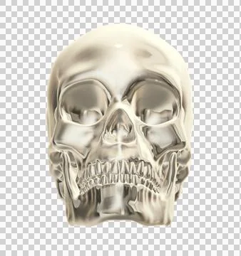 Skull Stock Illustration