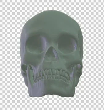 Skull Stock Illustration