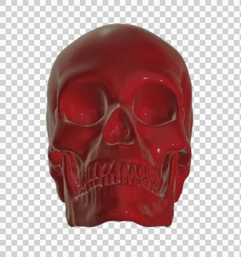 Skull Stock Illustration