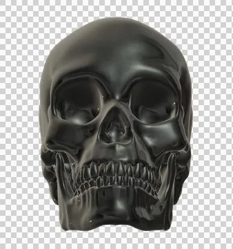 Skull Stock Illustration