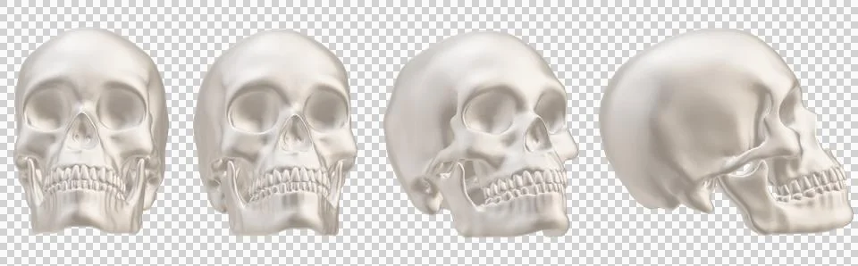Skull Stock Illustration