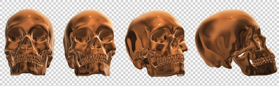 Skull Stock Illustration