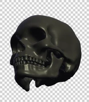 Skull Stock Illustration