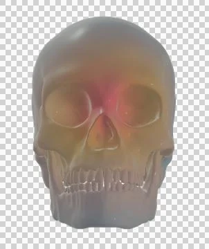 Skull Stock Illustration