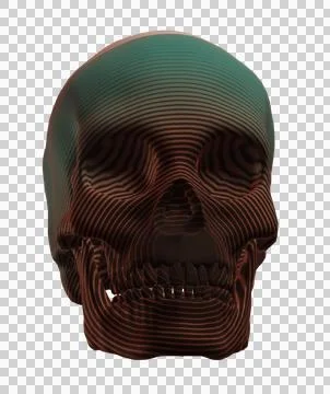Skull Stock Illustration