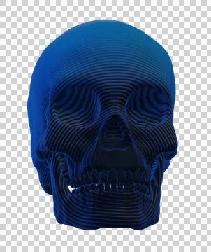 Skull Stock Illustration