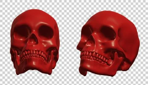 Skull Stock Illustration