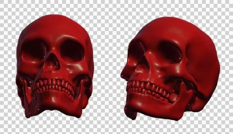 Skull Stock Illustration