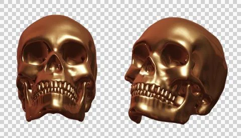 Skull Stock Illustration
