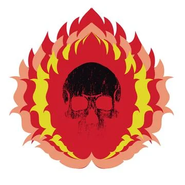 Skull Stock Illustration
