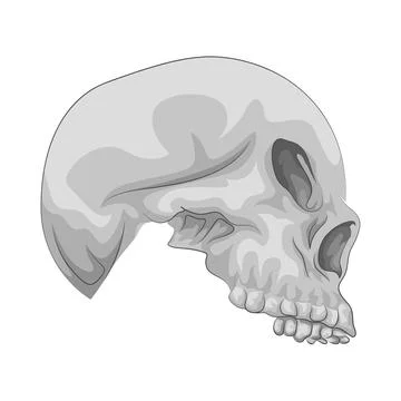 Skull Illustration Stock Illustration