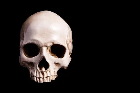 Skull Isolated on black Stock Photos