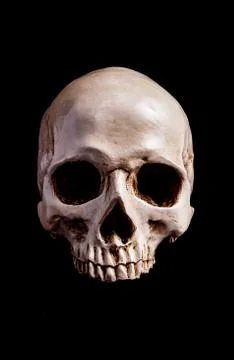 Skull Isolated on black Stock Photos