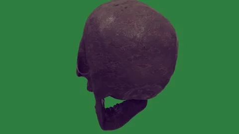 A skull isolated on green screen background Vidéo 336955032